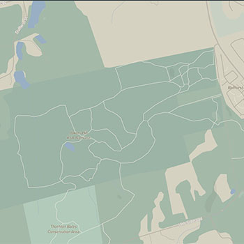 Moody and electric — deep indigo #211F45 base with emerald glow #2E5D4D, magenta pop #C94A9C, and vivid yellow #F0E561. Bright orange #F47D42 and steel blue #314E88 add sharp, late-night energy.