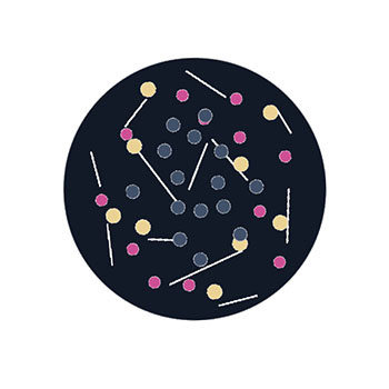 Personal data as social day.