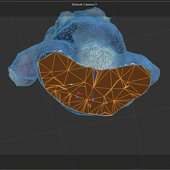 Stitch in Cinema 4D selecting polygons to change the colour.